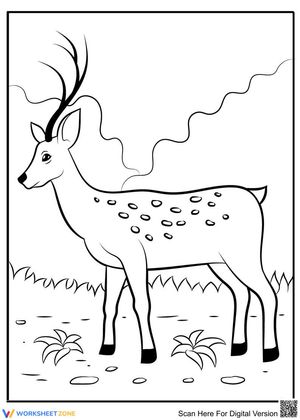 A lovely deer