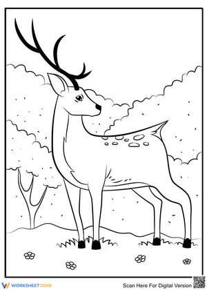 A deer on the hill