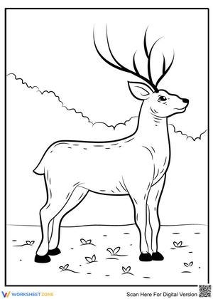 Adorable deer