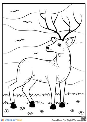 Lovely deer