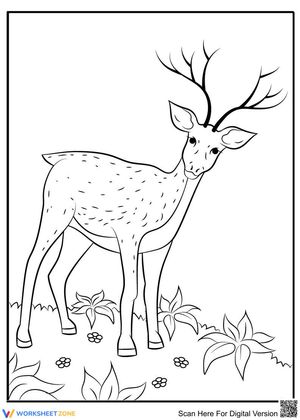 Cute deer