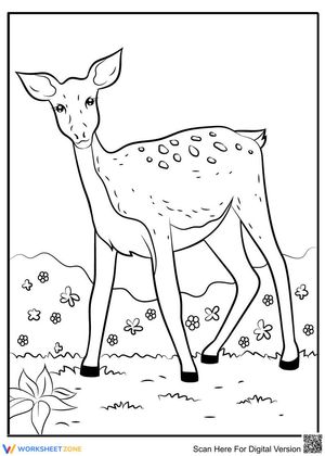 A deer