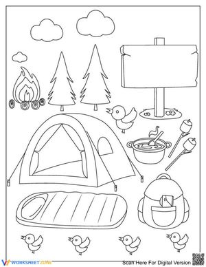 Camp-fire night