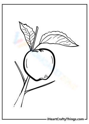 An apple in the tree