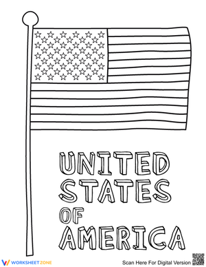 Flag of the US