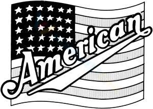 The flag