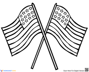 The US flag