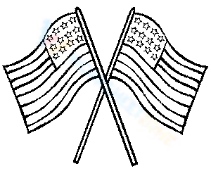 The US flag