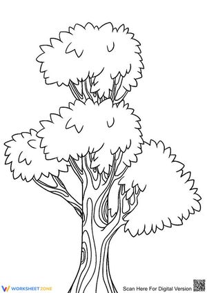 The simple tree
