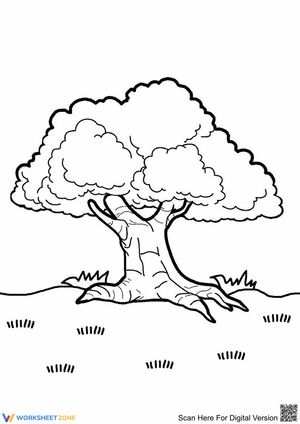 Old Tree Coloring Page | Essential Printable Worksheet