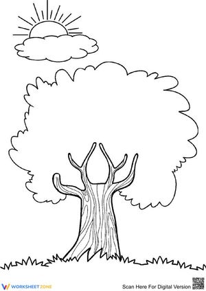 The old tree