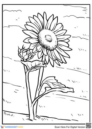 Sunflowers in the wind
