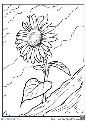 Delighted sunflower