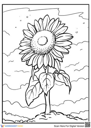 Lovely sunflower