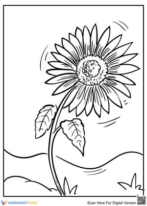 Sunflower in the breeze