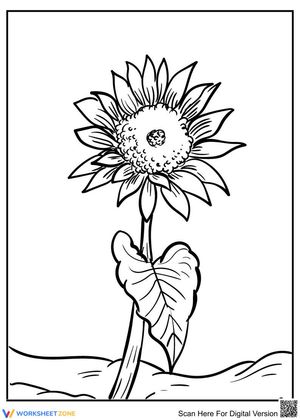 The Sunflower