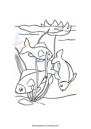 Fishes in the Ocean Exploration Worksheet