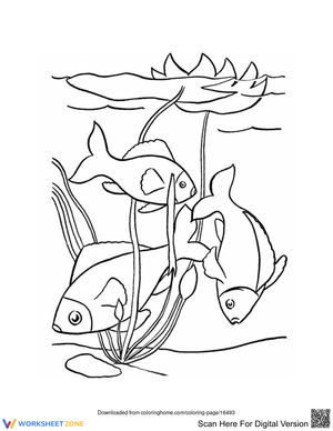 Fishes in the Ocean Exploration Worksheet