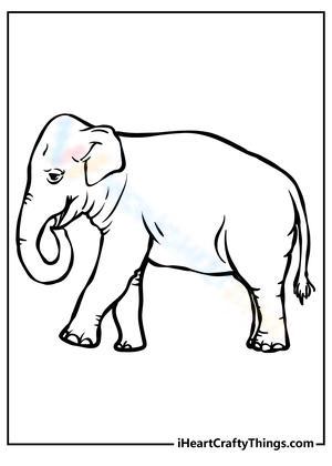 An Old Elephant Creative Worksheet