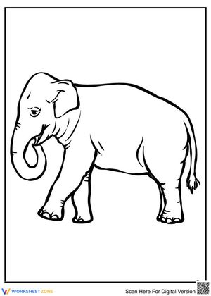 An Old Elephant Creative Worksheet