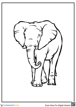 Old Elephant Coloring Activity Page