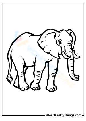 A Big Elephant Coloring Adventure