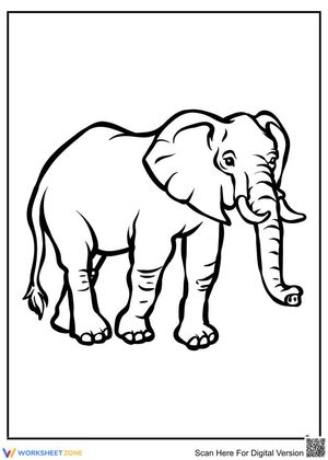 A Big Elephant Coloring Adventure