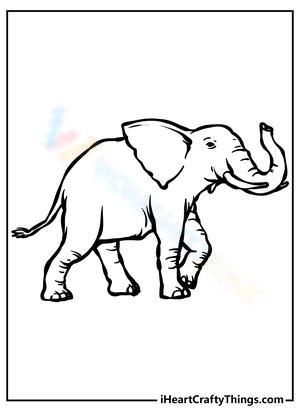 An Elephant Creative Coloring Fun
