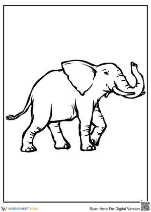 An Elephant Creative Coloring Fun