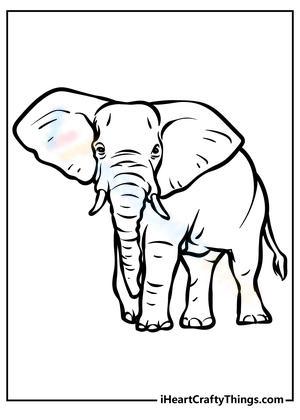 Huge Elephant Wildlife Art Project