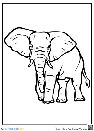 Huge Elephant Wildlife Art Project