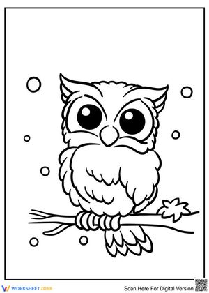 Adorable owl