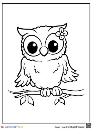 Pretty owl