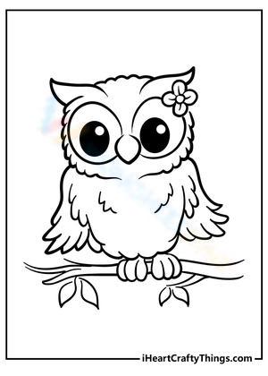 Pretty owl