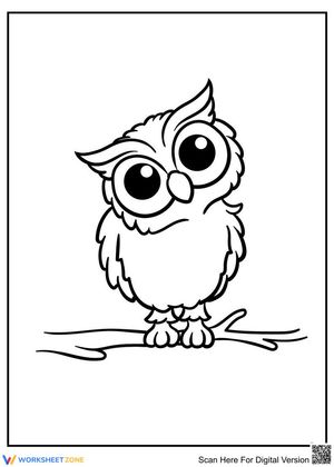 The baby owl