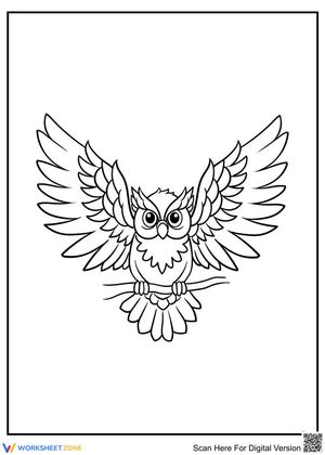 Ready to fly owl