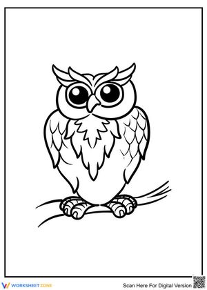 The owl
