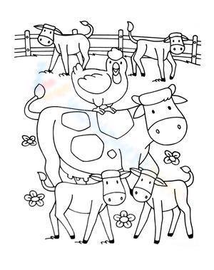 Happy animals in the farm