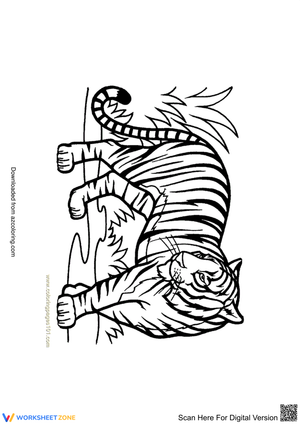 Explore the Bengal Tiger Worksheet