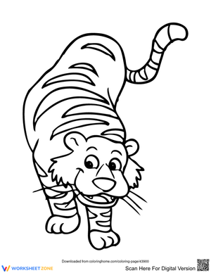 Tiger Picture: Wildlife Exploration