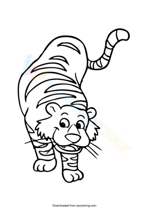 Tiger Picture: Wildlife Exploration