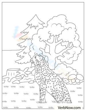 Cheetah in the Forest: Wildlife Habitat