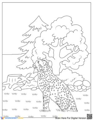 Cheetah in the Forest: Wildlife Habitat