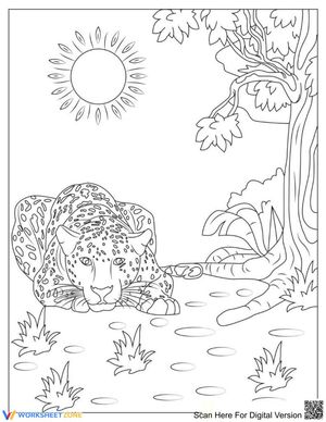 Lying Cheetah