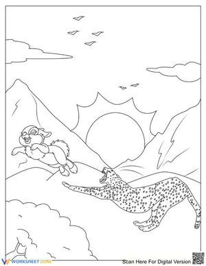 Cheetah Chasing: Exploring Predator Behavior