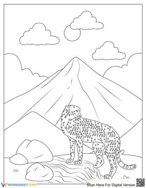Cheetah on Hill: Wildlife and Landscape
