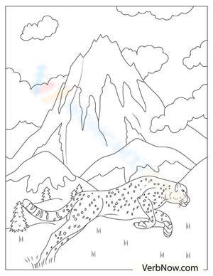 A Cheetah: Wildlife Exploration