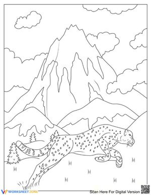 A Cheetah: Wildlife Exploration