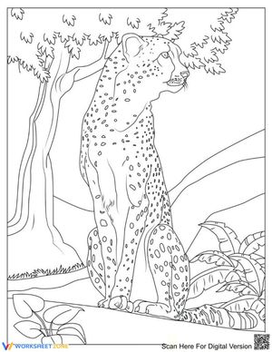 The Cheetah: Explore Wildlife with this Worksheet