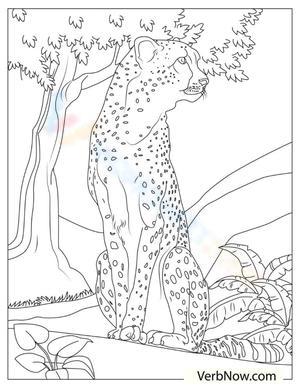The Cheetah: Explore Wildlife with this Worksheet